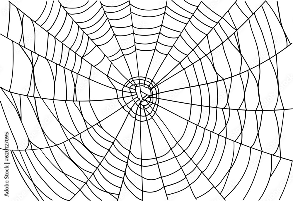 Obraz premium Halloween Spider Web