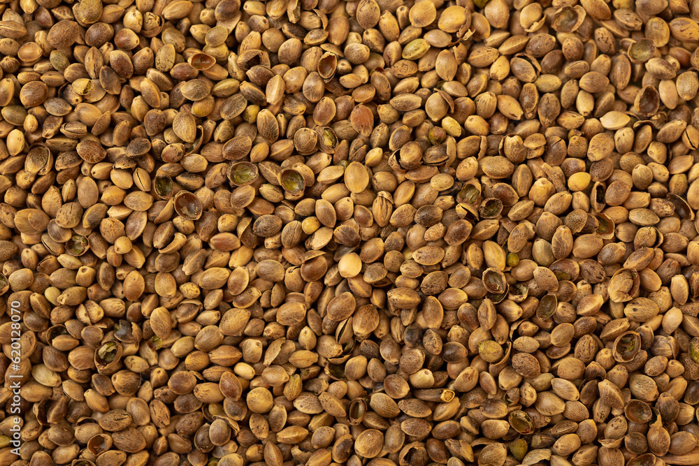 Heap of cannabis seeds close-up. Cannabis replacement as a food supplement, vegetable protein vitamins. Heap of cannabis seeds close-up. Cannabis replacement as a food supplement, vegetable protein vitamins.