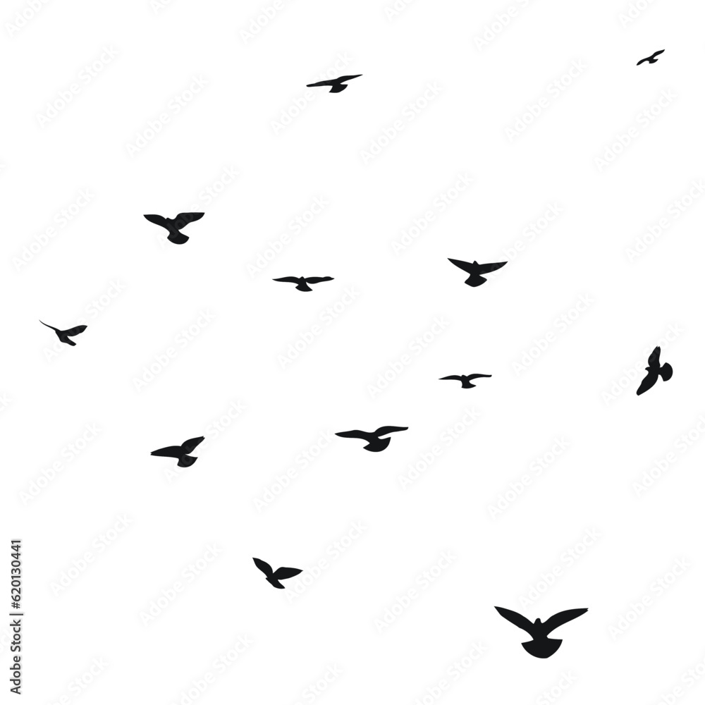 Silhouette sketch of a flock of flying birds, flight in different positions. Hover, soaring, landing, flying, flutter