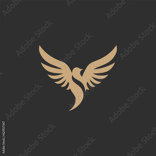 Bird logo design vector illustration