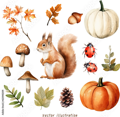 Photographie watercolor set of autumn pumpkin maple ornament elements vector illustration