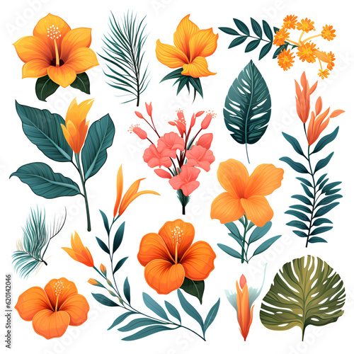 tropical flowers and leaves. clipart, decor element