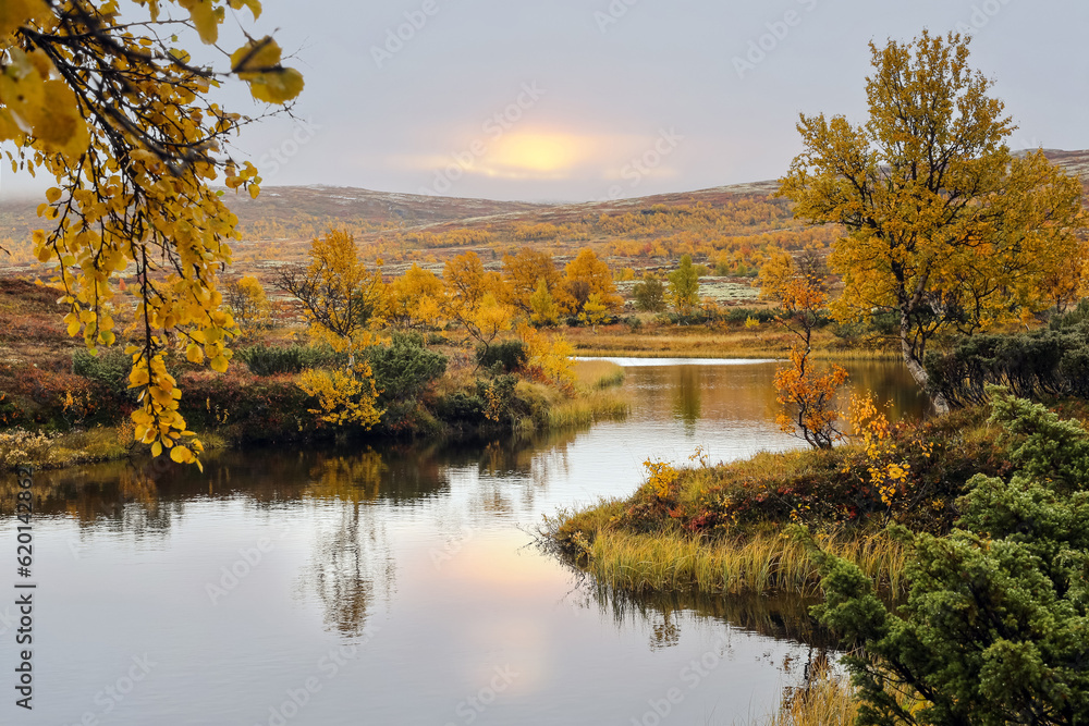 Fall in Forollhogna national Park, Norway