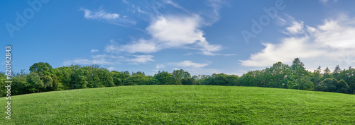 Fototapeta Naklejka Na Ścianę i Meble -  青空と芝生のパノラマ風景