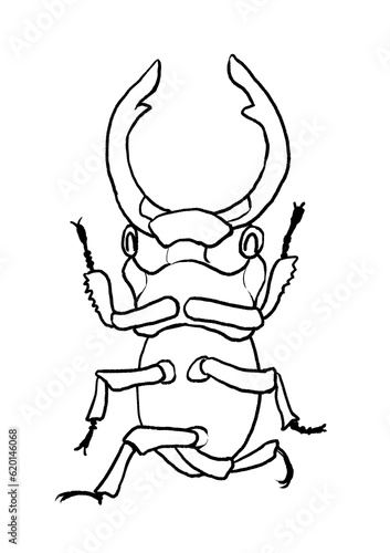 Wallpaper Mural 笑顔でスイカを咥えたクワガタの線画イラスト Torontodigital.ca