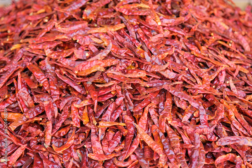 Fototapeta premium Dried Red Hot Peppers background.