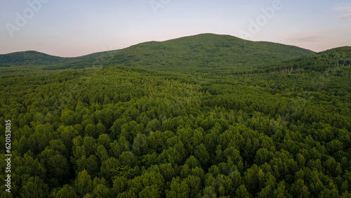 Aerial view of the Mountain range and tall forest near to the river at incredible summer cloud evening with horizon, orange color