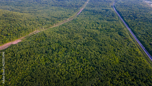 Aerial view of the country road and power lines near to the mountain range, coniferous high forest and the river at summer cloud evening with horizon, color