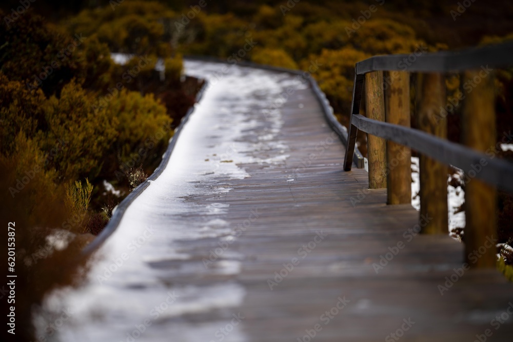 snow on a boardwalk in a national park in australia in winter snow on a boardwalk in a national park in australia in winter