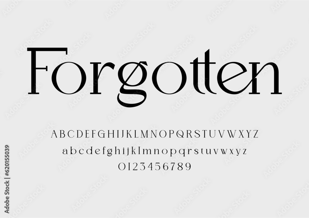 Elegant Ligatures Serif Font Alphabet Typeface Stock Vector Adobe Stock