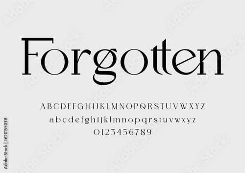 Elegant Ligatures Serif Font Alphabet Typeface