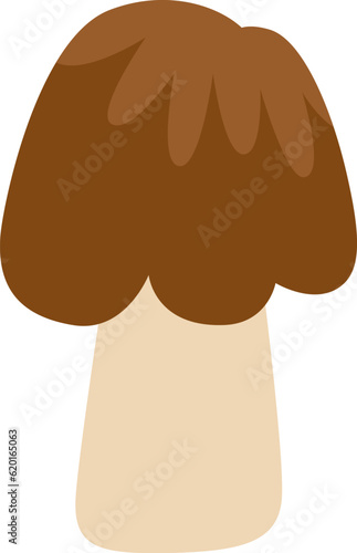 Porcini Mushroom Plant