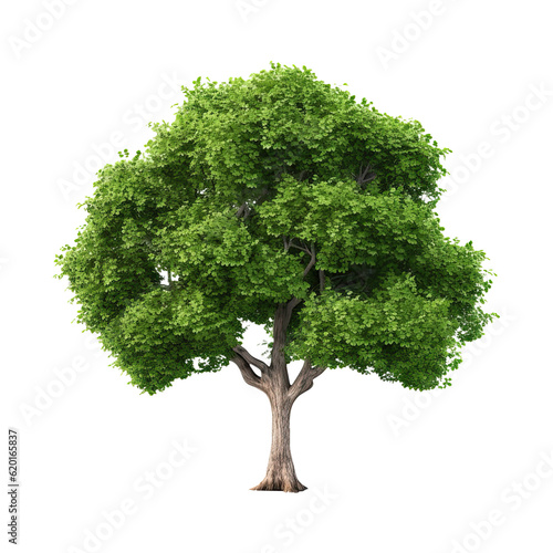 Green tree on transparent background. Generative AI