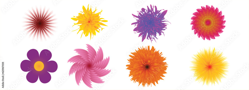 set of flowers vector illustration set of flowers vector illustration