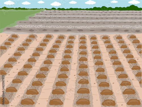 A farm is a dedicated agricultural area.