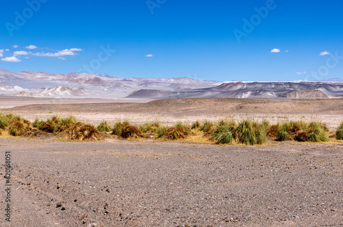 Puna - off road adventure on the way to the Campo de Piedra Pómez, a bizarre but beautiful landscape with a field of pumice, volcanic rocks and dunes of sand in the north of Argentina, South America 