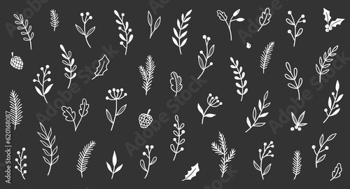 Christmas plant leaf, flower set. Hand drawn doodle sketch holly floral, christmas tree leaves, winter branch elements. Holiday decoration, rustic wreath sketch doodle. Vector illustration.
