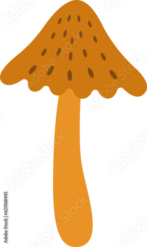 Morel Mushroom Plant
