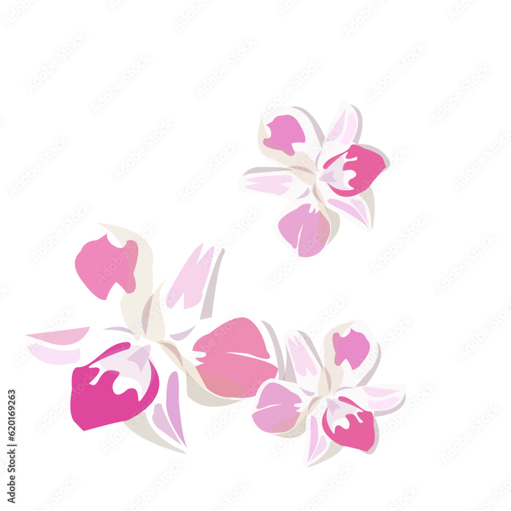 Orchid flowers vector isolated flat design 