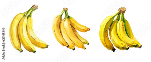 Banana, watercolor painting style illustration. Vector set.