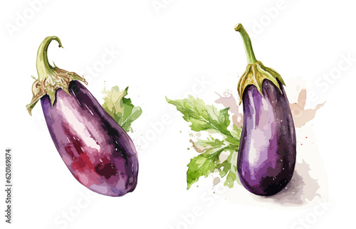 Eggplant, watercolor painting style illustration. Vector set.