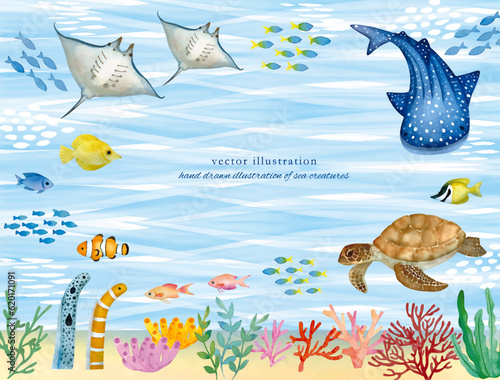 水彩手書きの海の生き物