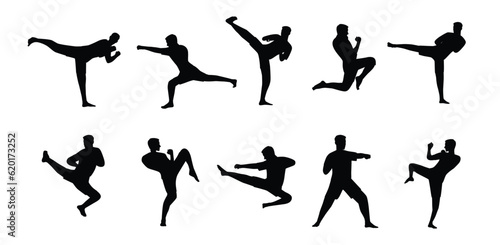 Set of Karate men doing some karate move. Flat vector illustration isolated on white background