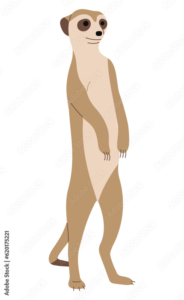Fototapeta premium Meerkat Single 6 cute on a white background, vector illustration