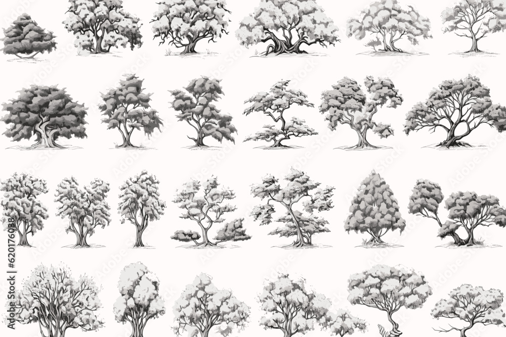 set of trees vector