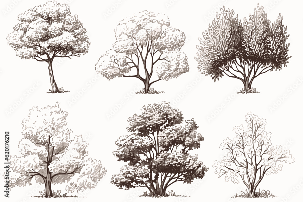 Obraz premium set of trees vector