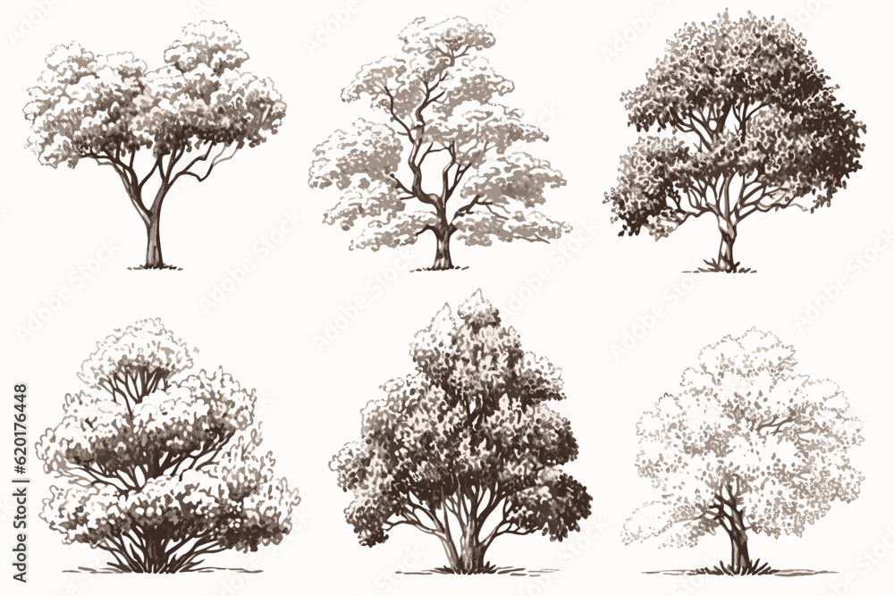 Fototapeta premium set of trees silhouettes