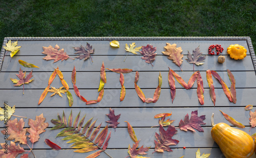 Hello, Autumn. beautiful bright colorful multi-colored leaves from different trees are laid out on the table in the word autumn. Autumn entertainment. Selective focus. Top view