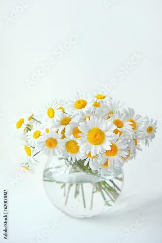 Wallpaper Mural chamomile flowers in glass vase on abstract blurred white background. floral composition in minimal style. summer season. relaxation, harmony atmosphere. template for design. copy space Torontodigital.ca