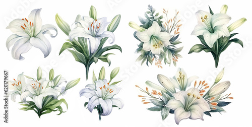 Set of 7 watercolor style white lily bouquets on white background