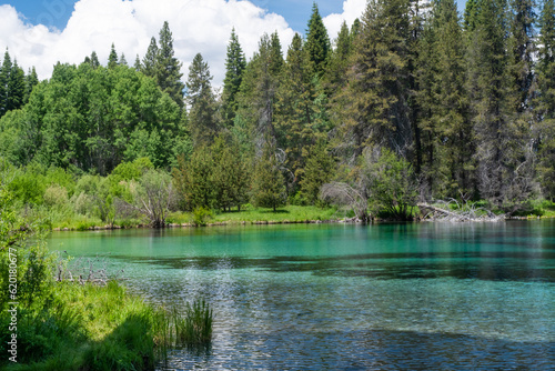 Beautiful lake of blue, crystal clear waters surrounded by forest of Kimball State Park in Oregon.