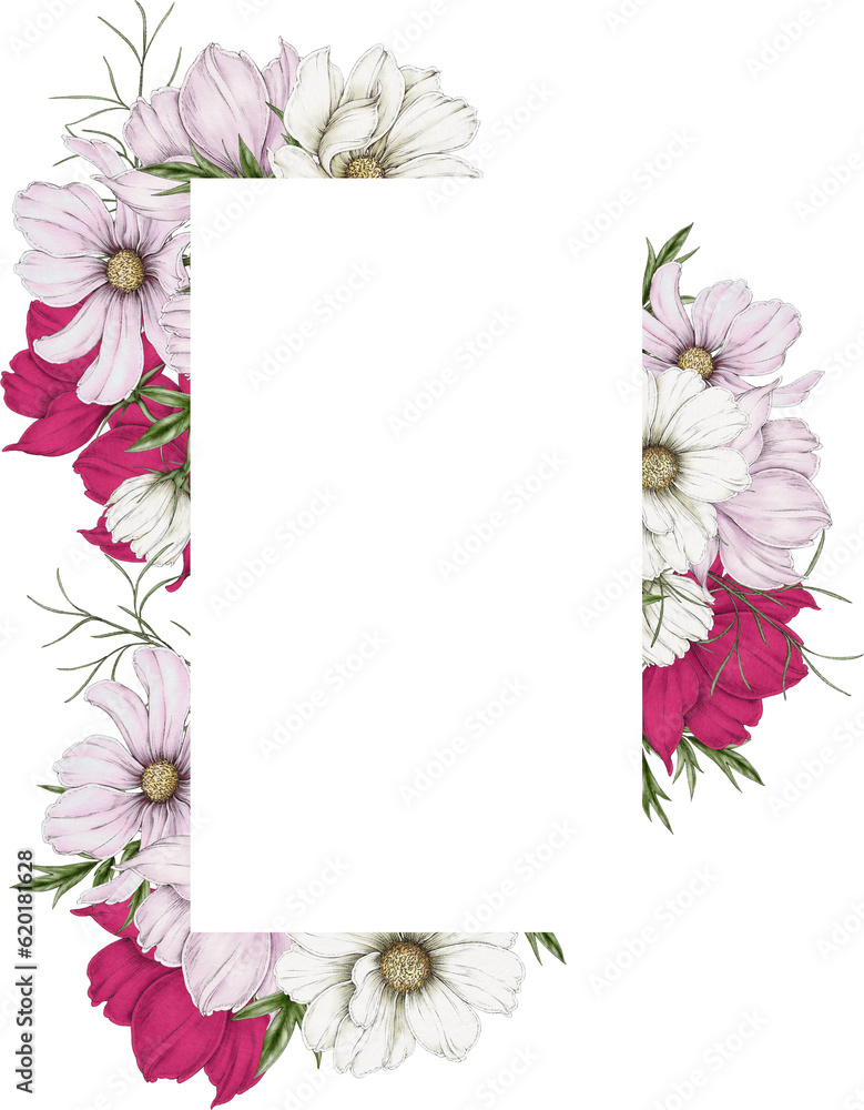 Frame of cosmos flowers