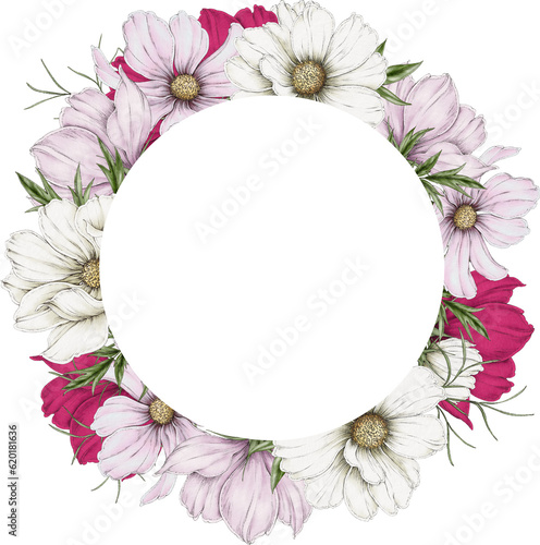 Frame of cosmos flowers