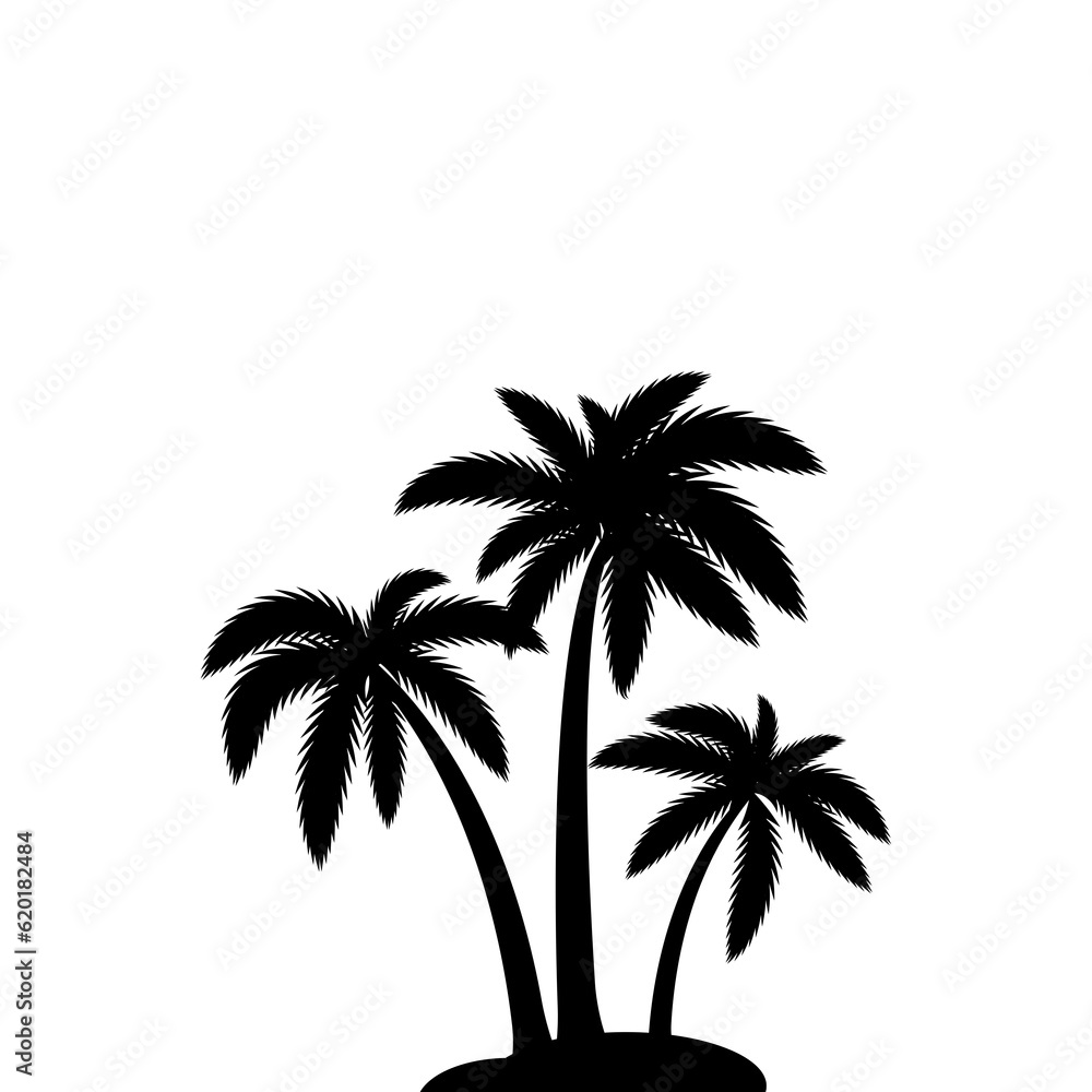 Obraz premium palm tree isolated on white