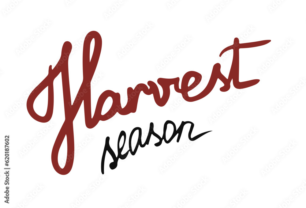 Harvest season. Isolated vector design element on a white background. Autumn inscription. Texture graphic design of fashionable lettering font Harvest season. Isolated vector design element on a white background. Autumn inscription. Texture graphic design of fashionable lettering font