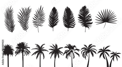 Palm tree silhouettes collection. Isolated palms leaves set. Vector graphics of trees. Tropical and exotic plants. Natural and cartoon shapes. Black illustrations on white background. 