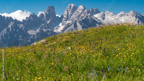 Beautiful mountain landscape at the Plätzwiese / Prato Piazza in the Dolomites (Italian Alps), with the Monte Cristallo in the background © cjhimself