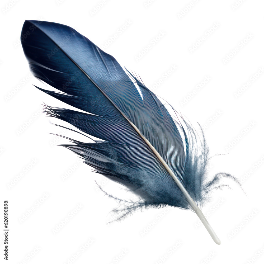 feather isolated on transparent background cutout feather isolated on transparent background cutout