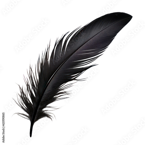 black feather isolated on transparent background cutout photo