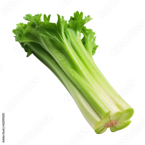 fresh green celery isolated on transparent background cutout