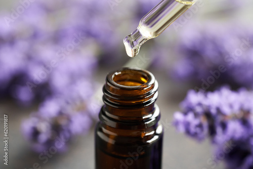 A drop of essential oil with a dropper and blooming lavender plant