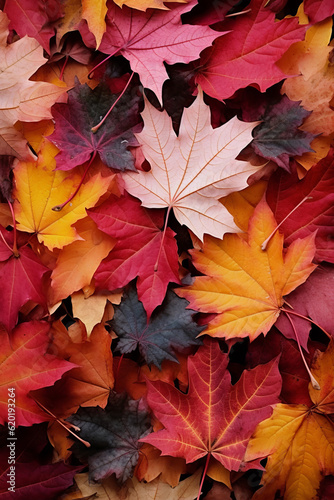 Billede på lærred Autumn leaves lying on the floor