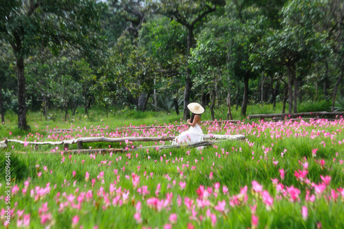 Field of pink Siam Tulip in sunrise sky morning in Saithong Nation Park of Thailand photo