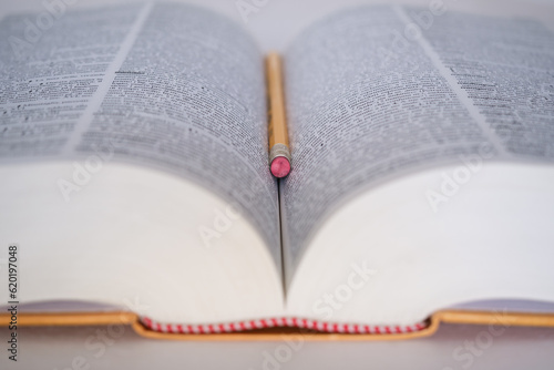 A pencil with eraser resting in the center of a voluminous open vocabulary, concept of "knowledge" or "study" or "research" or "meaning of a word".