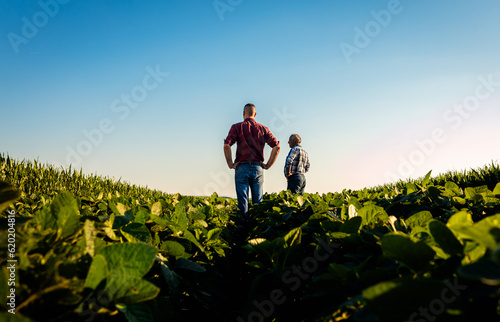 Rear view of two farmers standing in a field examining soy crop.