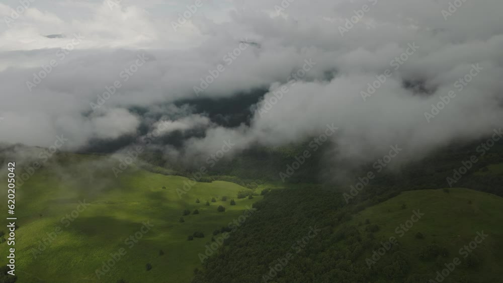 Aerial view of mountains valley with forest in cloudy fog, wide shot Aerial view of mountains valley with forest in cloudy fog, wide shot